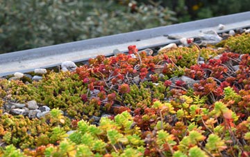 the cost of Bolehall green roof installation